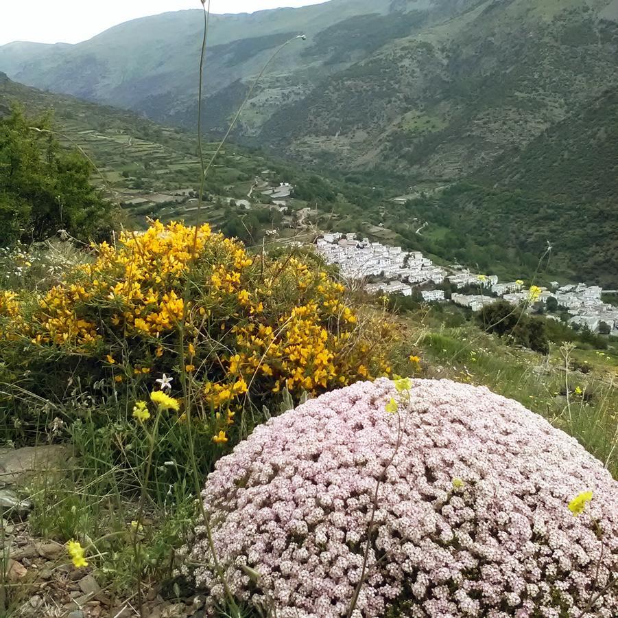 Refugio Alpujarra Alta Bed and Breakfast Trevélez Esterno foto